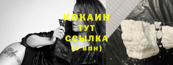 дмт Белокуриха